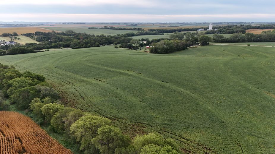 Listing Photo: Lancaster-county-ne-70.24+/--acres-cropland
